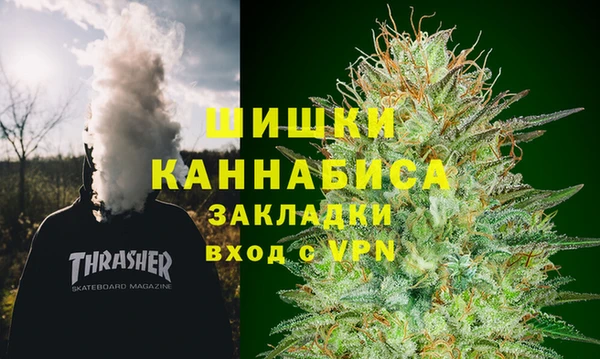 стаф Аркадак