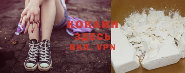 тгк Алзамай