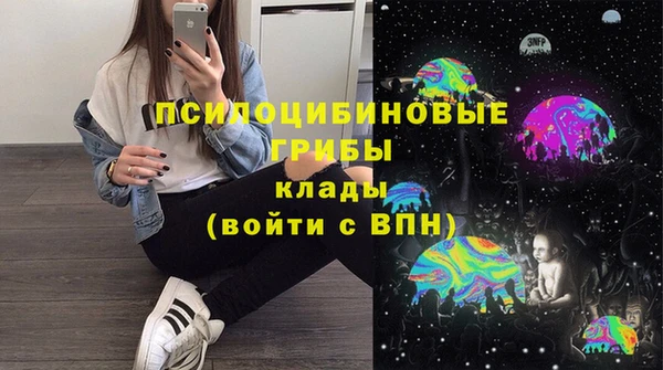 стаф Аркадак