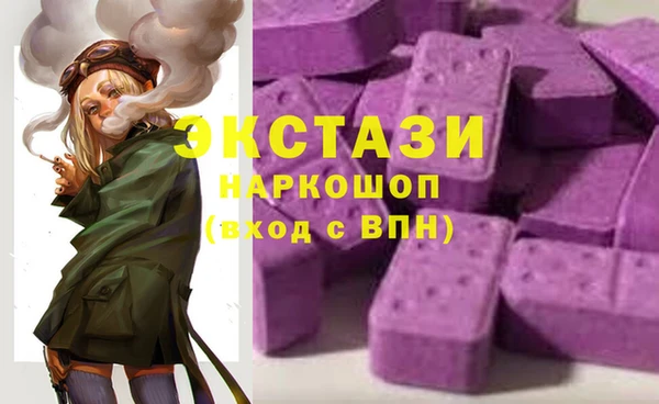 стаф Аркадак