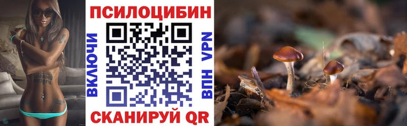 купить наркоту  omg сайт  Псилоцибиновые грибы мухоморы  Цимлянск 